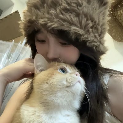 波尔卡的猪